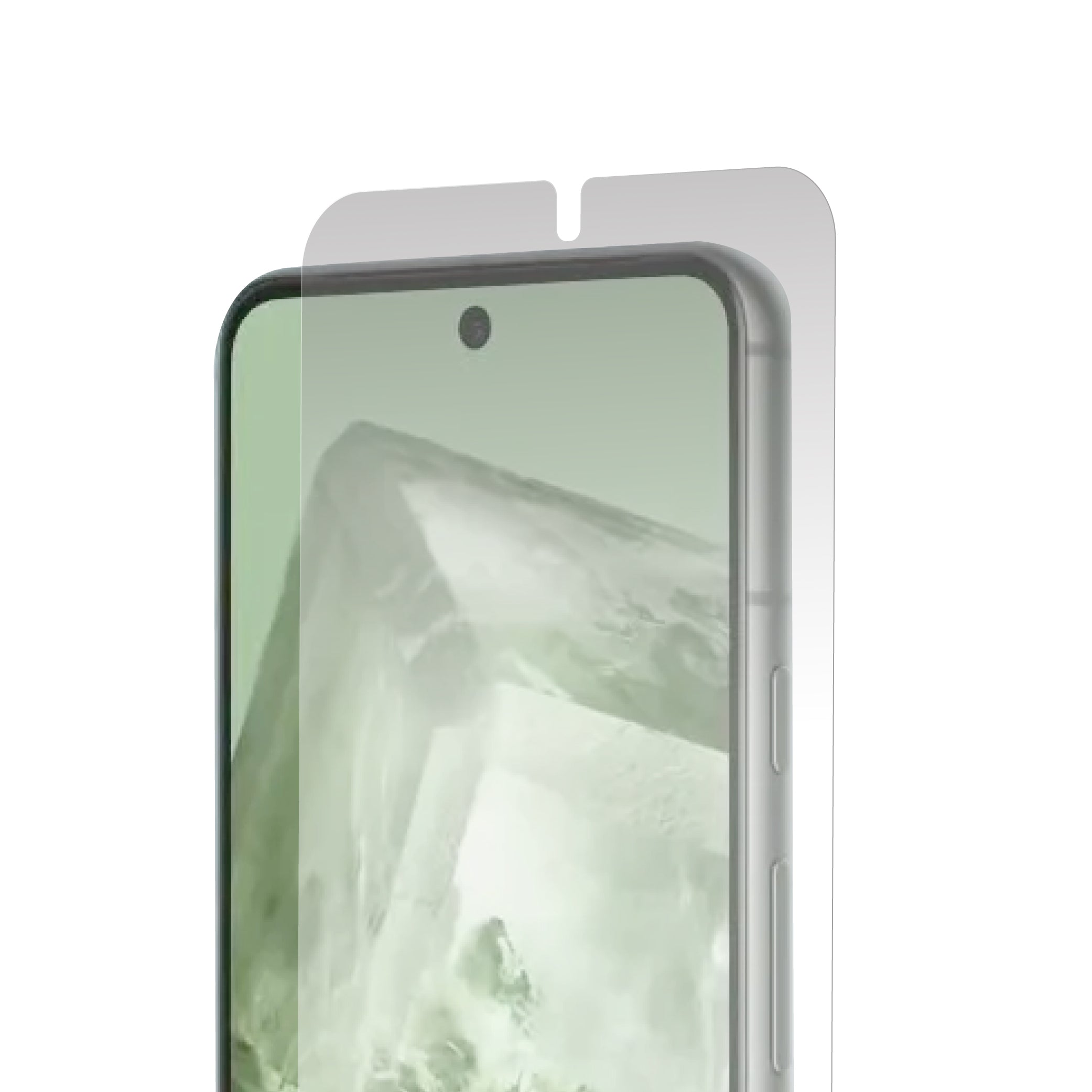 Screen Protector Replacement